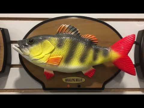 Wiggling Willie Singender Fisch Angler Billy Bass Variante 2 Songs Dekoration